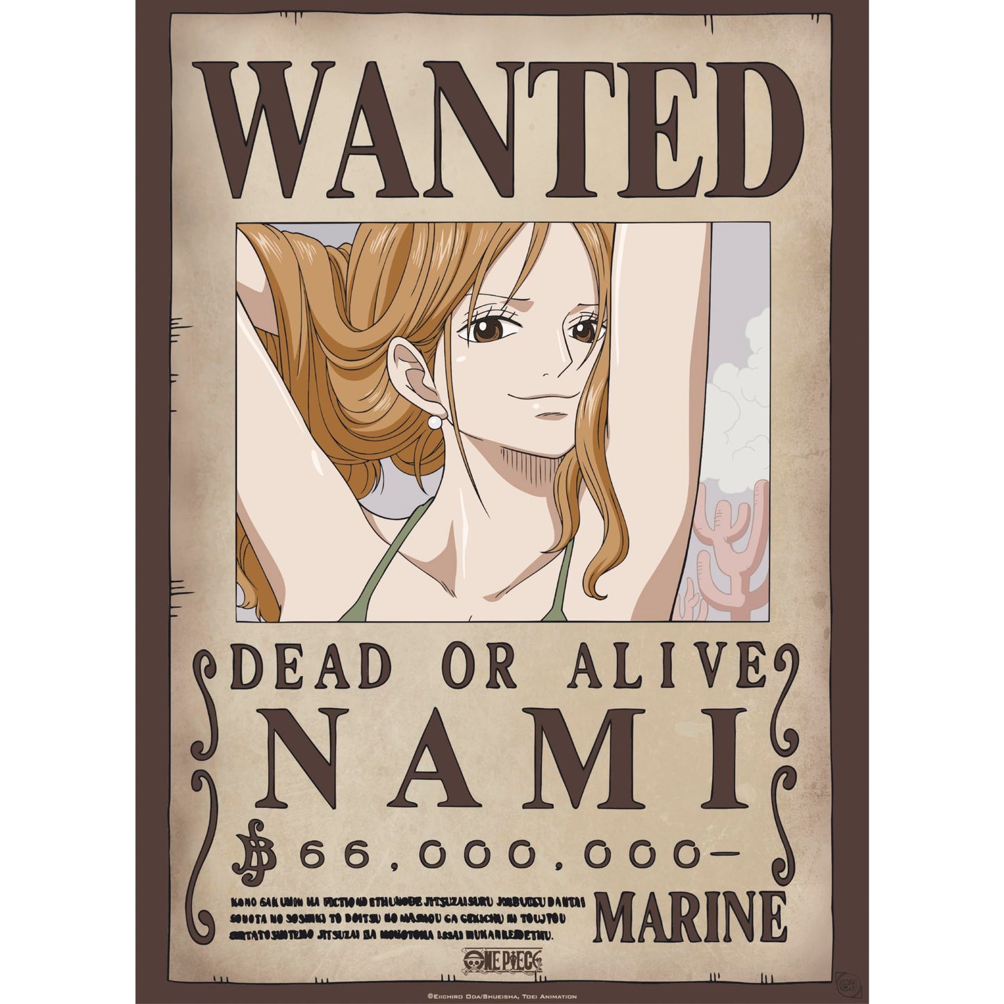 One Piece Robin/Nami Posters set of 2