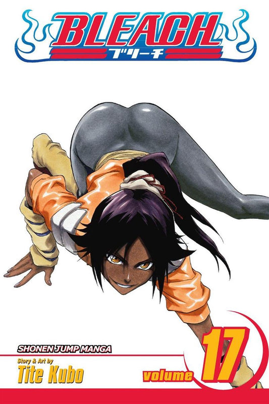 Bleach 17 Manga Volume (EN)
