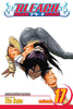 Bleach 17 Manga Volume (EN)