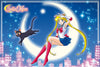 Sailor Moon sitting on a moon with a black cat, city skyline, and 'Sailor Moon' logo.