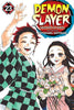 Cover of 'Demon Slayer' manga with two characters and the title.