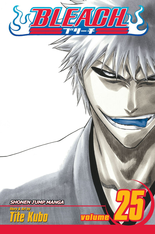 Bleach 25 Manga Volume (EN)