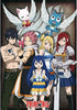 Group of animated characters with fairy wings from the anime 'Fairy Tail'.