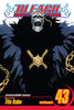 Cover of 'Bleach' manga volume 43 with a dark silhouette and chains.