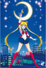 Character from Sailor Moon holding a crescent moon against a city night sky with stars.