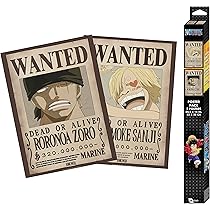 Two 'Wanted' posters with a character design and a box labeled 'One Piece' on a white background.