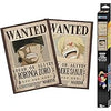 Two 'Wanted' posters with a character design and a box labeled 'One Piece' on a white background.