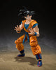 Dragon Ball Z Son Goku Super Hero S.H. Figuarts Action Figure