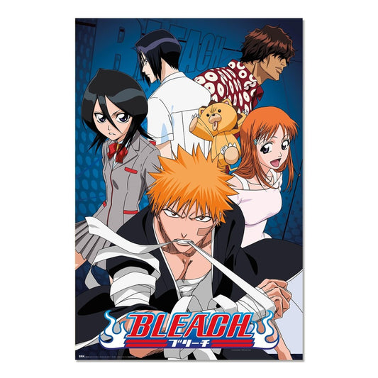 Bleach Characters Poster