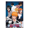 Bleach Characters Poster